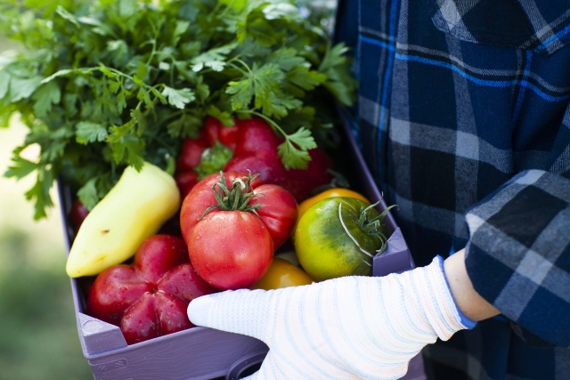 園芸ボランティアイメージ